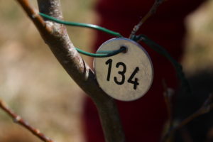 IMG_2982