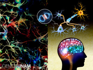 nt_redes_neuronales_19032015