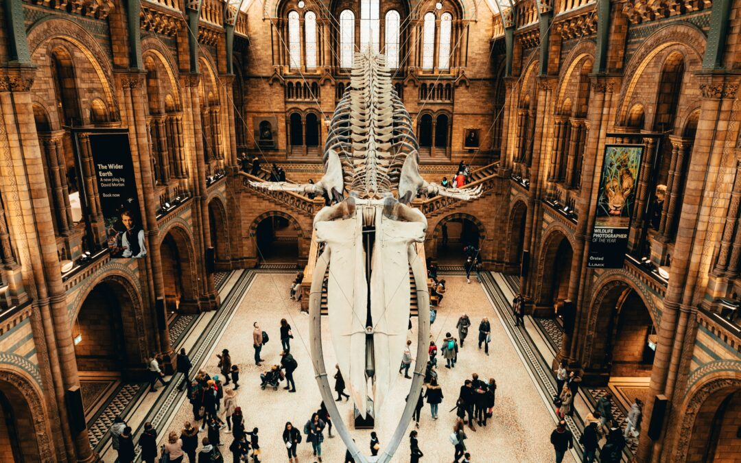 National History Museum etxetik