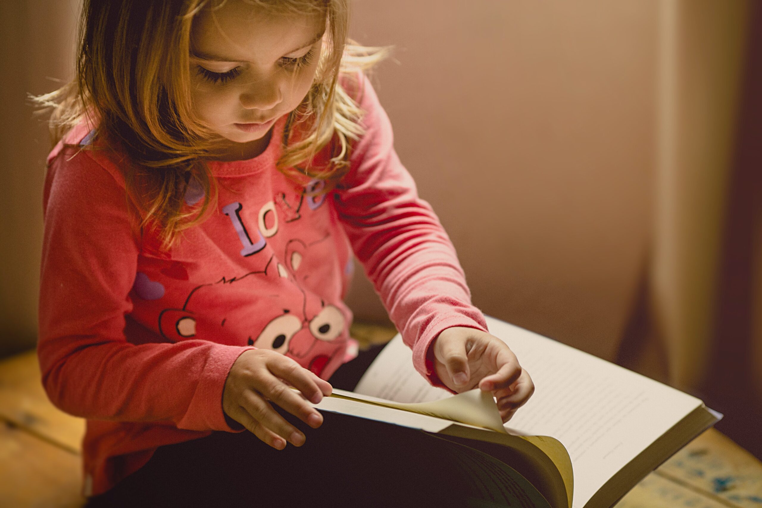 Reach every reader: guztiontzako alfabetatzea sustatzea
