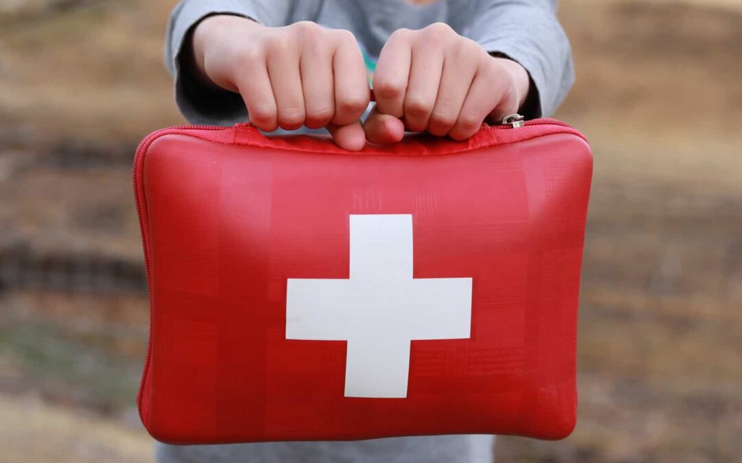 Haurrek bizitza zabaltzen dute: lehen laguntzaren ebaluazioa haurtzaindegi norvegiarretan