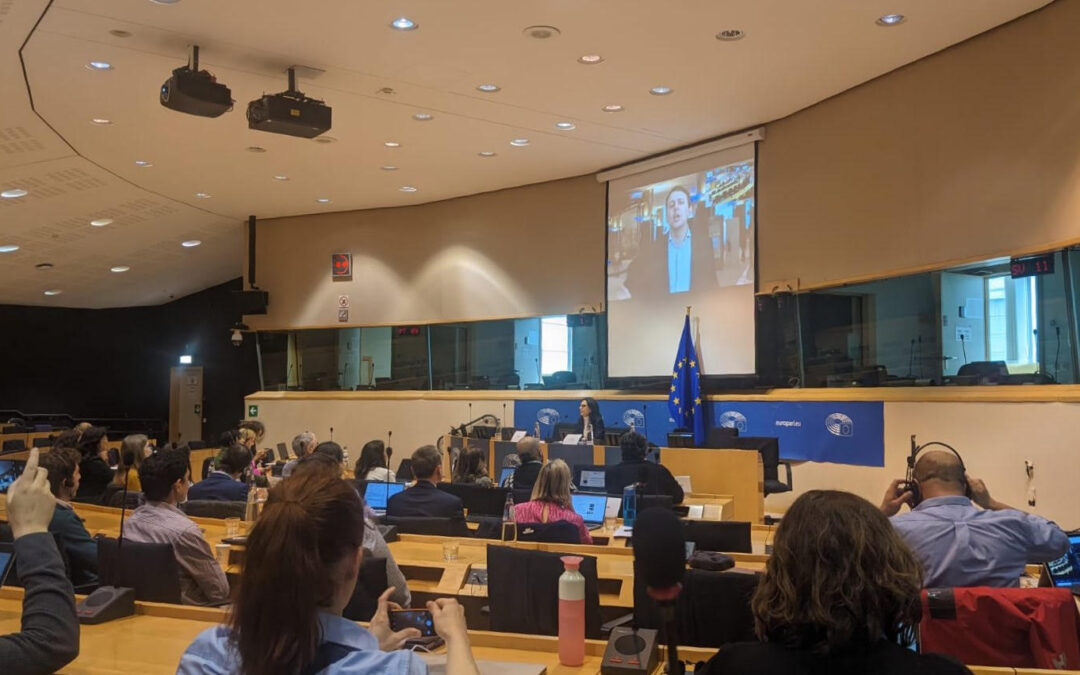Nire esperientzia ALLINTERACT-en Bukaerako Konferentzian