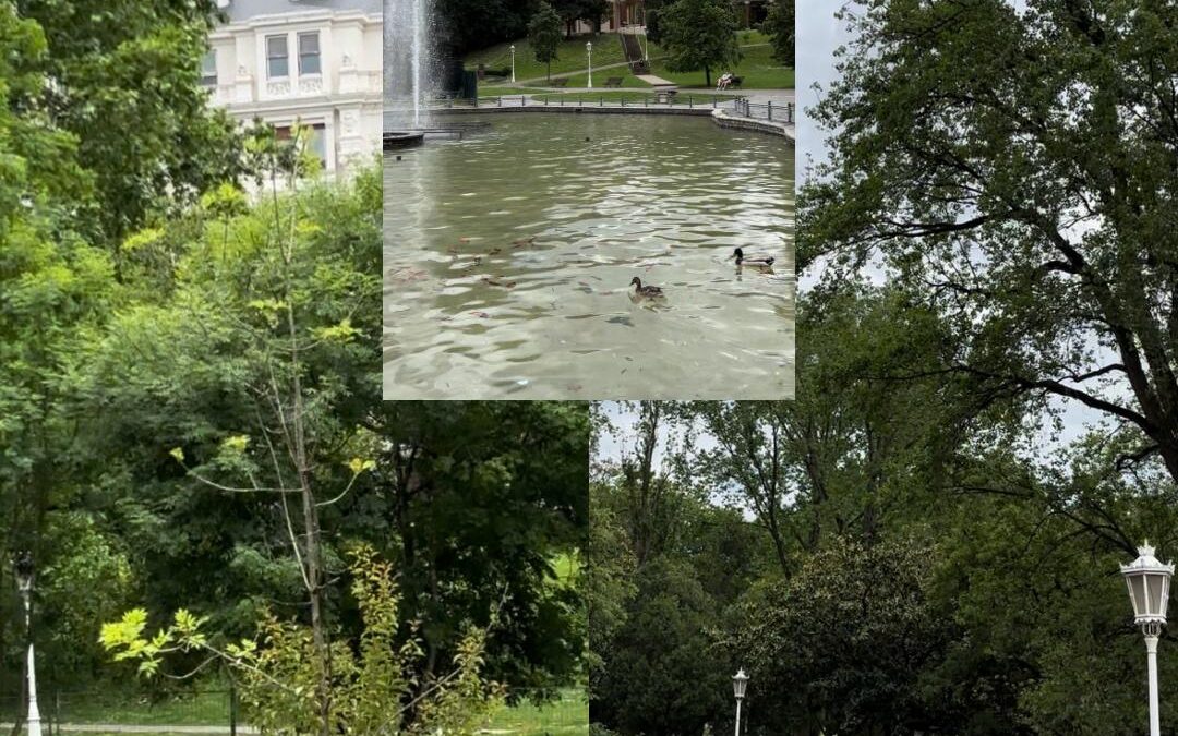 Zenbat dakizu Casilda Iturizarri buruz?